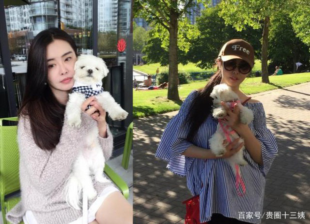 &quot;Đệ nhất mỹ nhân châu Á&quot; bị lừa tình cay đắng gây &quot;choáng&quot; với nhan sắc &quot;ngày ấy - bây giờ&quot; - Ảnh 9.