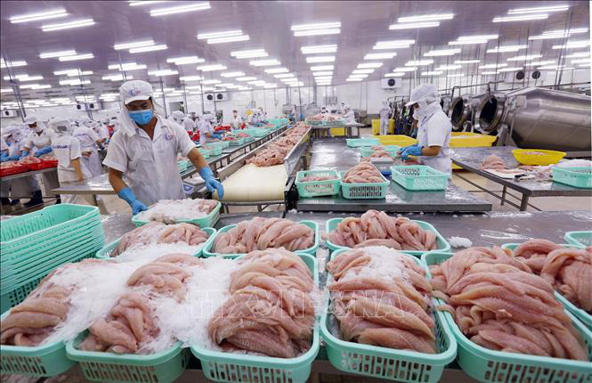 Trung Quốc tiếp tục siết chặt kiểm soát dịch COVID-19 trên thủy sản nhập khẩu - Ảnh 1. Trung Quốc tiếp tục siết chặt kiểm soát dịch COVID-19 trên thủy sản nhập khẩu - Ảnh 1.