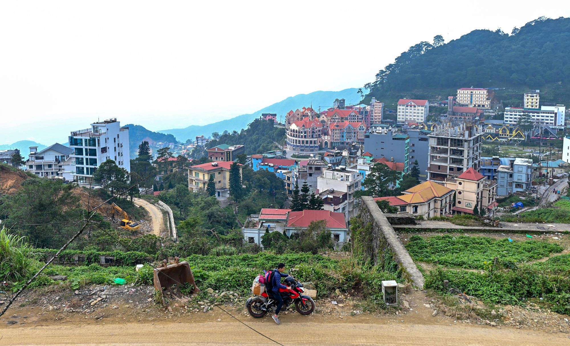 'Rừng bê tông' trên núi Tam Đảo - Ảnh 2.