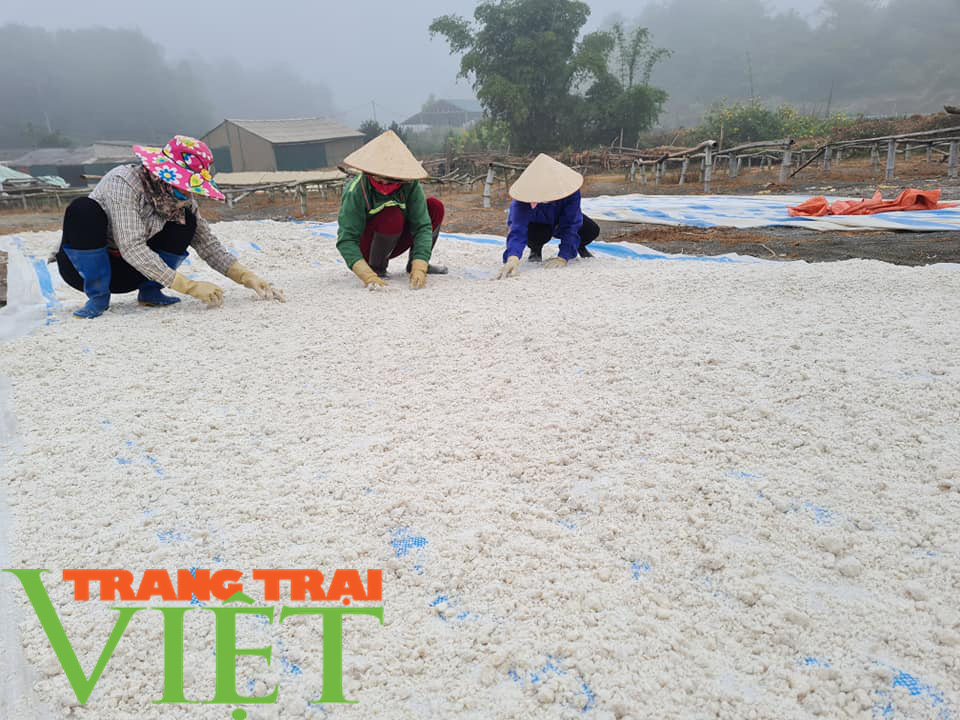 Miến dong mộc Lộc Biên, sản phẩm sạch Điện Biên - Ảnh 5.