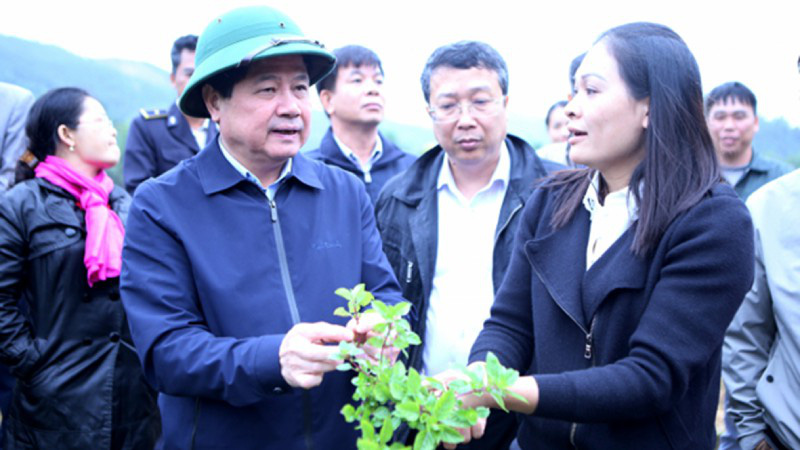 Thạch đen xuất khẩu chính ngạch sang Trung Quốc: Mừng và lo! - Ảnh 1. Thạch đen xuất khẩu chính ngạch sang Trung Quốc: Mừng và lo! - Ảnh 1.