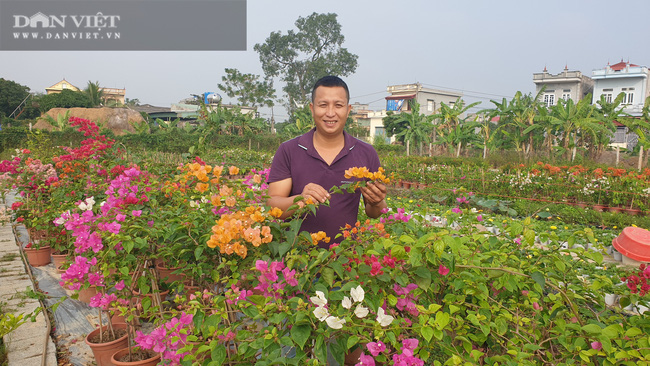 Biến ruộng hoang thành trang trại hoa tiền tỷ - Ảnh 1.