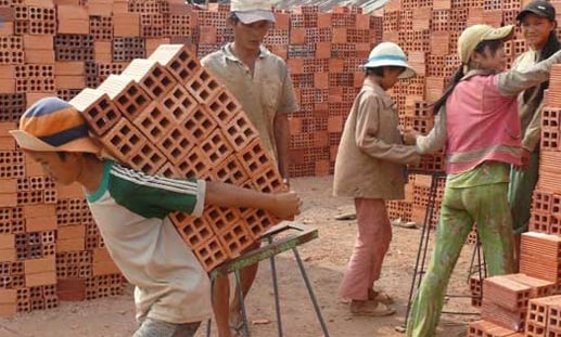 84% lao động trẻ em sống ở khu vực nông thôn - Ảnh 1.