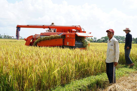 10 năm xây dựng NTM, Quảng Nam có 116 xã đạt chuẩn - Ảnh 7.