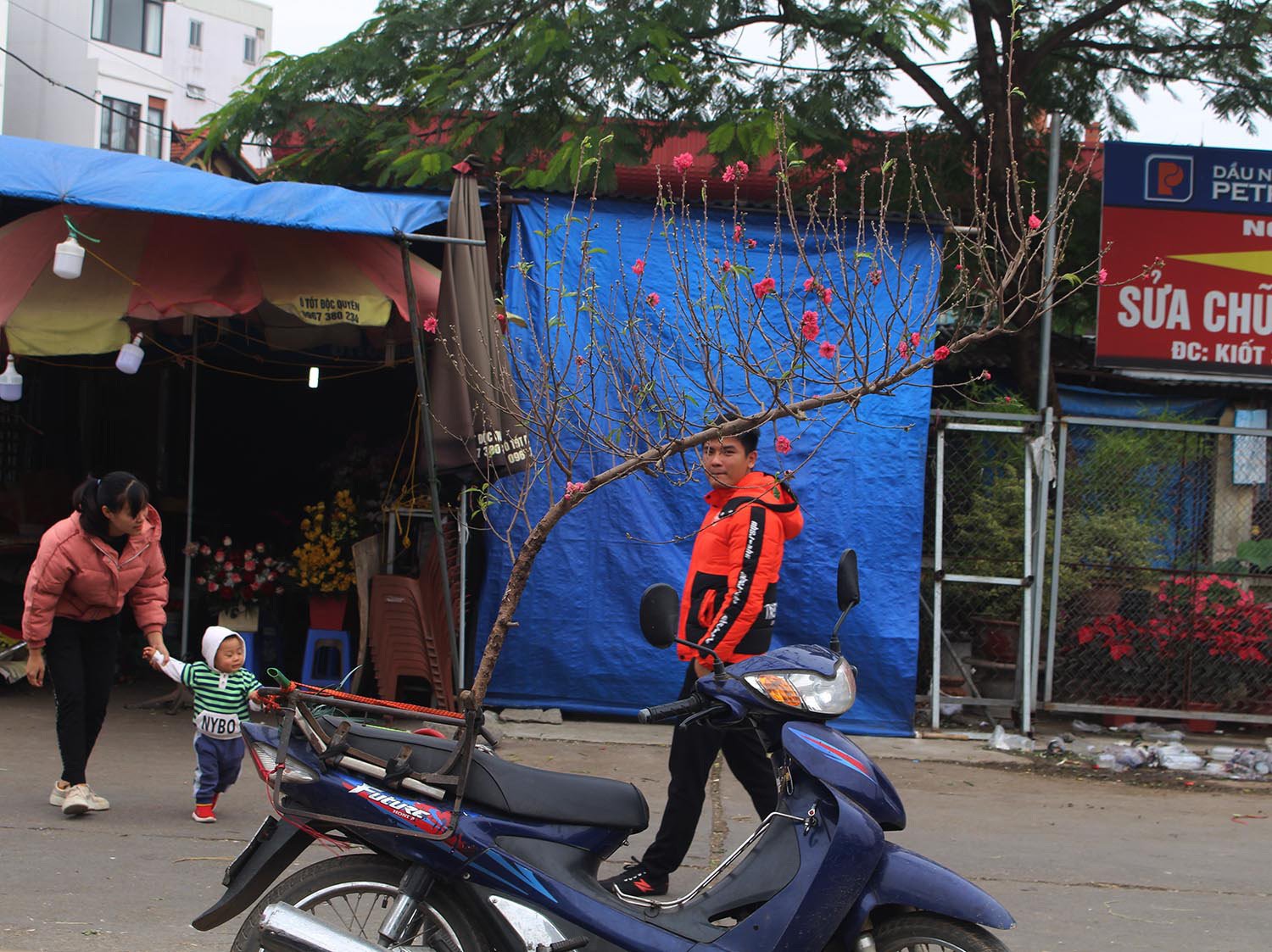 Đào Tết xuống phố sớm: Tiểu thương hét giá mỗi cành 1 triệu đồng - Ảnh 5. Đào Tết xuống phố sớm: Tiểu thương hét giá mỗi cành 1 triệu đồng - Ảnh 5.