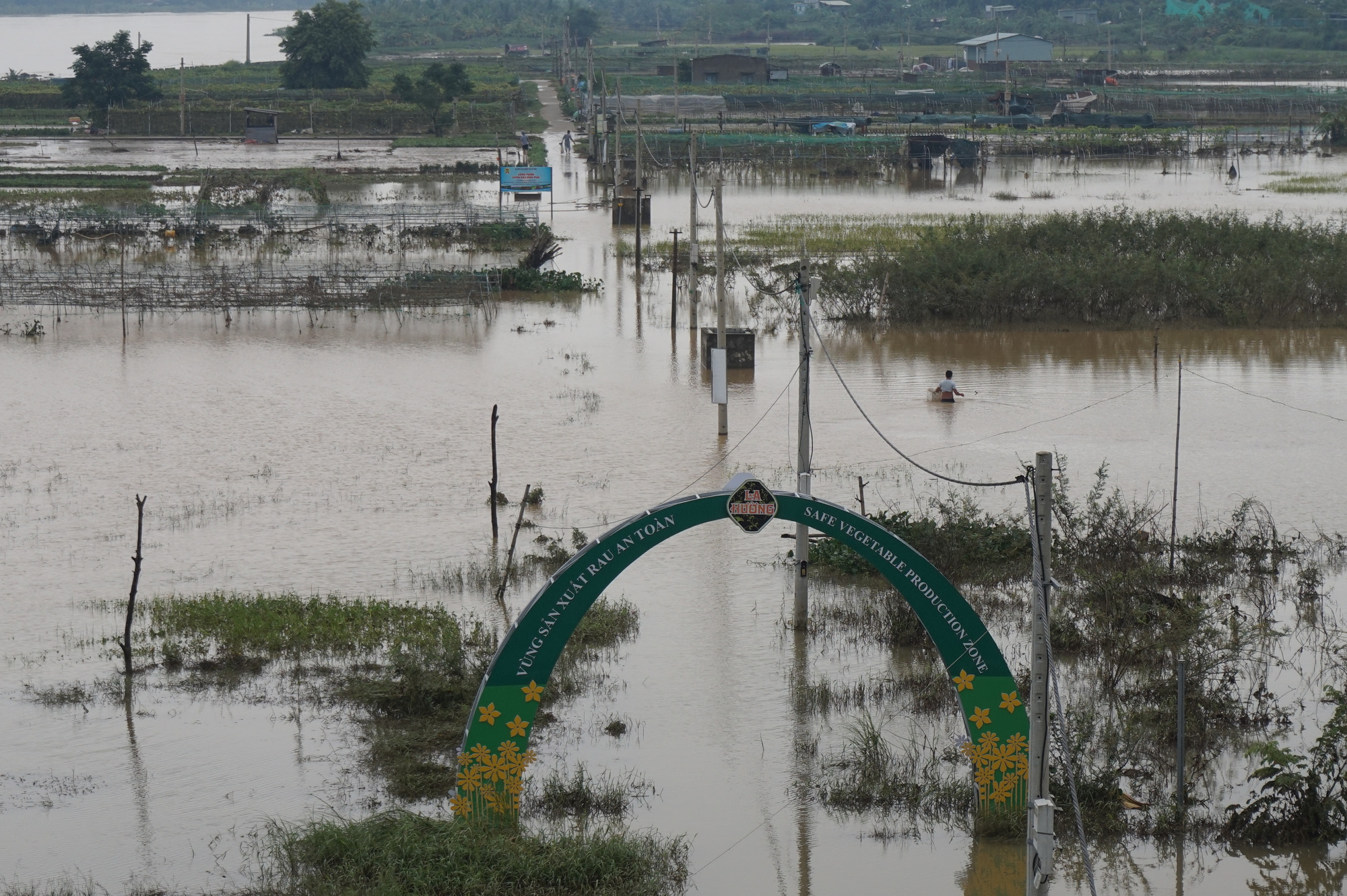 Nông dân vẫn còn lắm nỗi lo khi đầu tư vào nông nghiệp - Ảnh 5. Nông dân vẫn còn lắm nỗi lo khi đầu tư vào nông nghiệp - Ảnh 5.