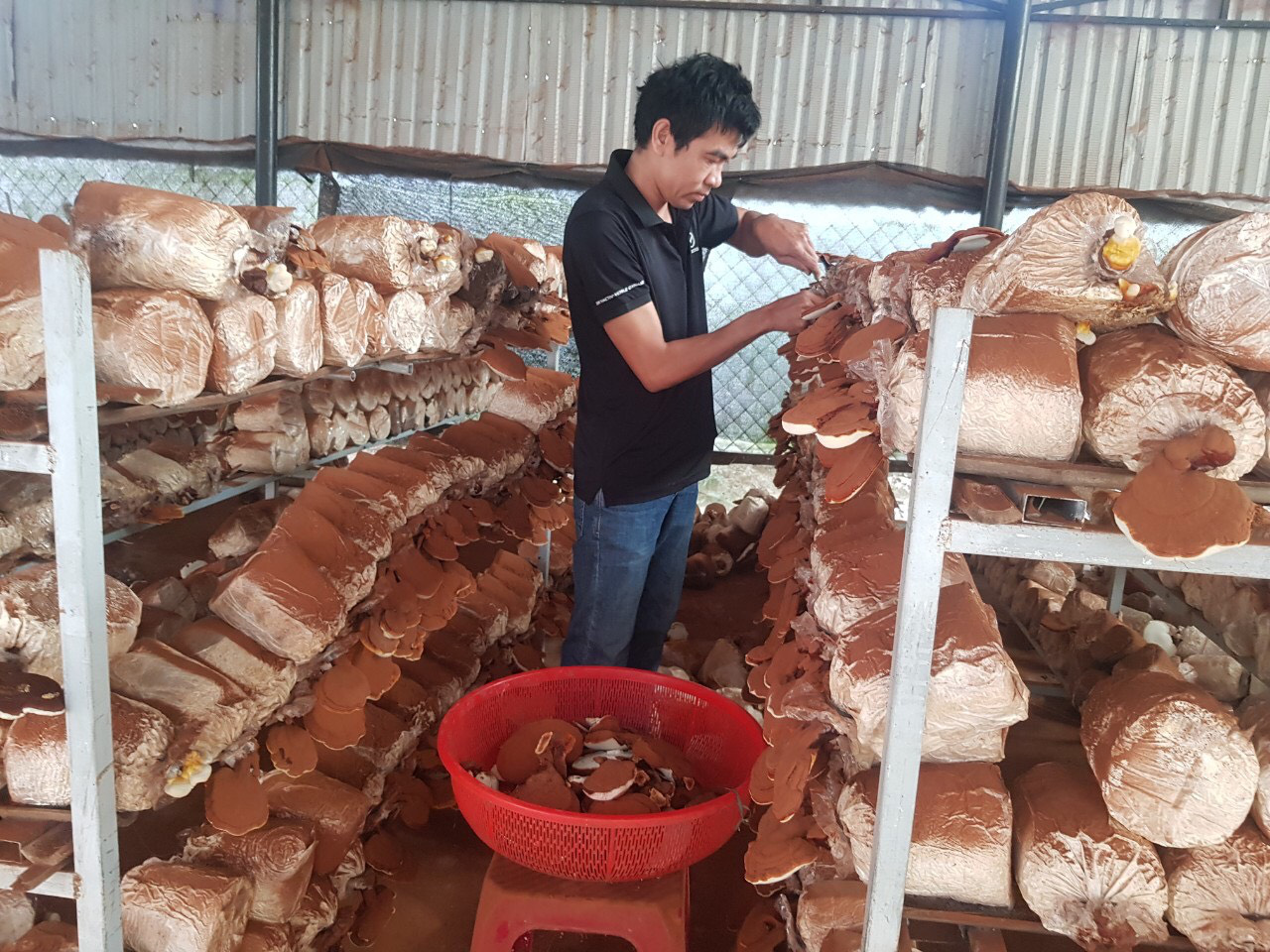 Nông dân vẫn còn lắm nỗi lo khi đầu tư vào nông nghiệp - Ảnh 4. Nông dân vẫn còn lắm nỗi lo khi đầu tư vào nông nghiệp - Ảnh 4.