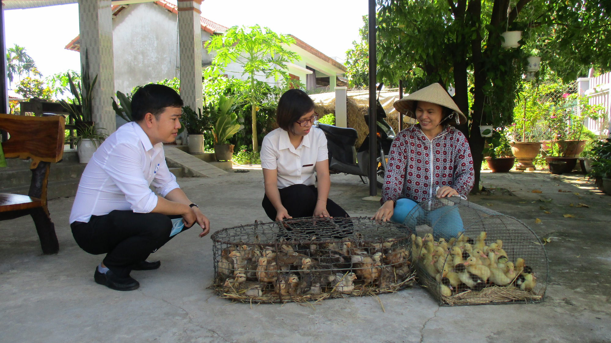 Nông dân vẫn còn lắm nỗi lo khi đầu tư vào nông nghiệp - Ảnh 1. Nông dân vẫn còn lắm nỗi lo khi đầu tư vào nông nghiệp - Ảnh 1.
