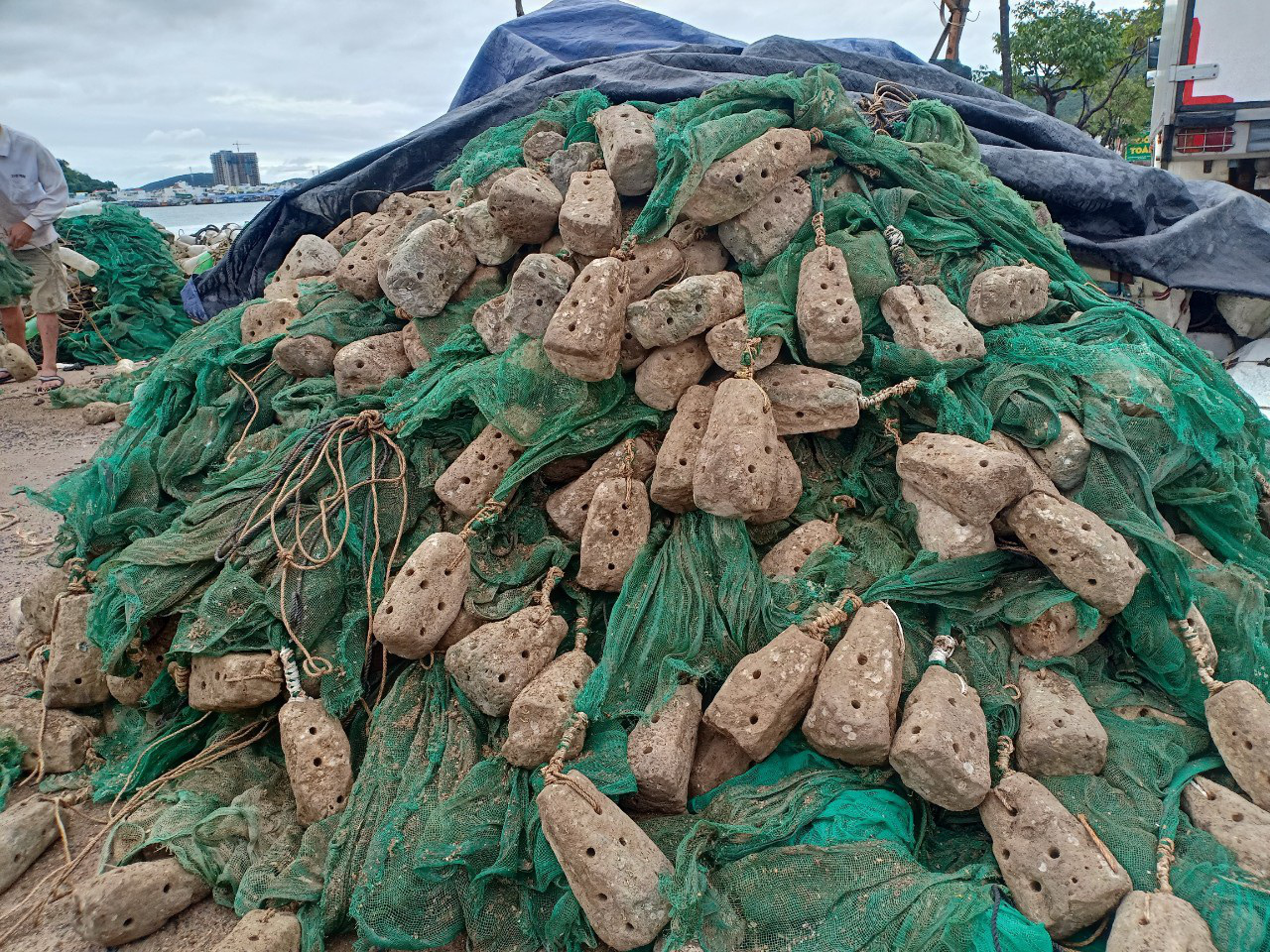 Khánh Hòa: Nửa tháng kiếm 100 triệu đồng nhờ làm nghề "bẫy" tôm hùm nhí - Ảnh 4. Khánh Hòa: Nửa tháng kiếm 100 triệu đồng nhờ làm nghề "bẫy" tôm hùm nhí - Ảnh 4.
