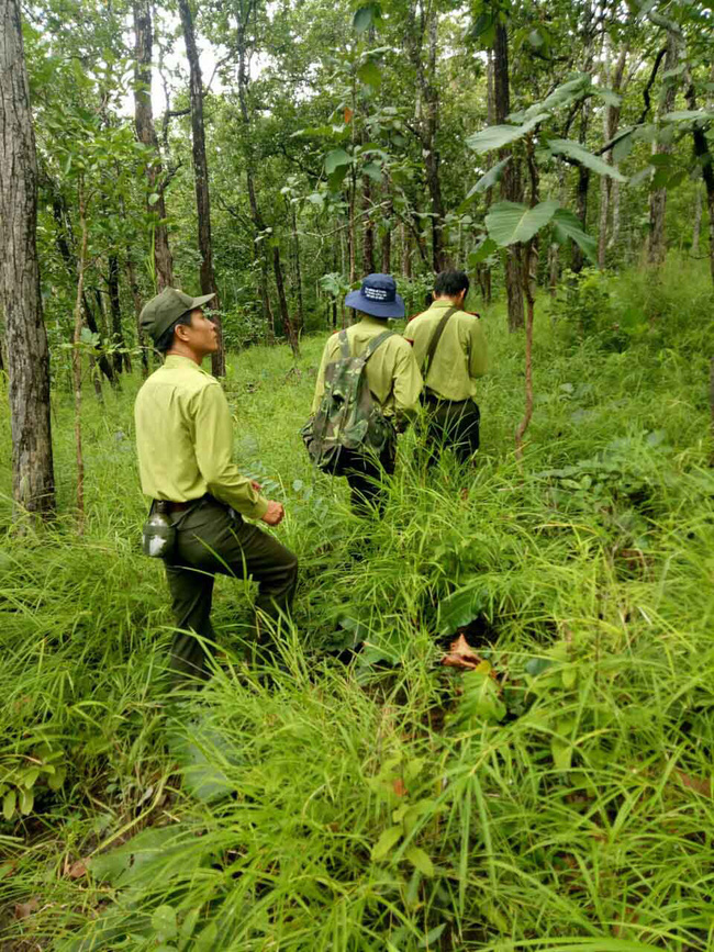 Đóng cửa rừng tự nhiên không có nghĩa là “rào kín” - Ảnh 3.