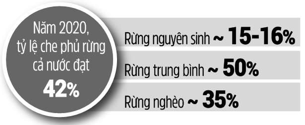 Đóng cửa rừng tự nhiên không có nghĩa là “rào kín” - Ảnh 4.