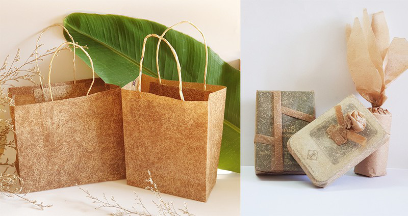 Cô trò sản xuất giấy từ những… cây chuối - Ảnh 2. Cô trò sản xuất giấy từ những… cây chuối - Ảnh 2.