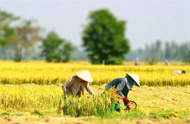 7 trường hợp chuyển đổi mục đích sử dụng đất phải xin phép năm 2021 - Ảnh 1. 7 trường hợp chuyển đổi mục đích sử dụng đất phải xin phép năm 2021 - Ảnh 1.
