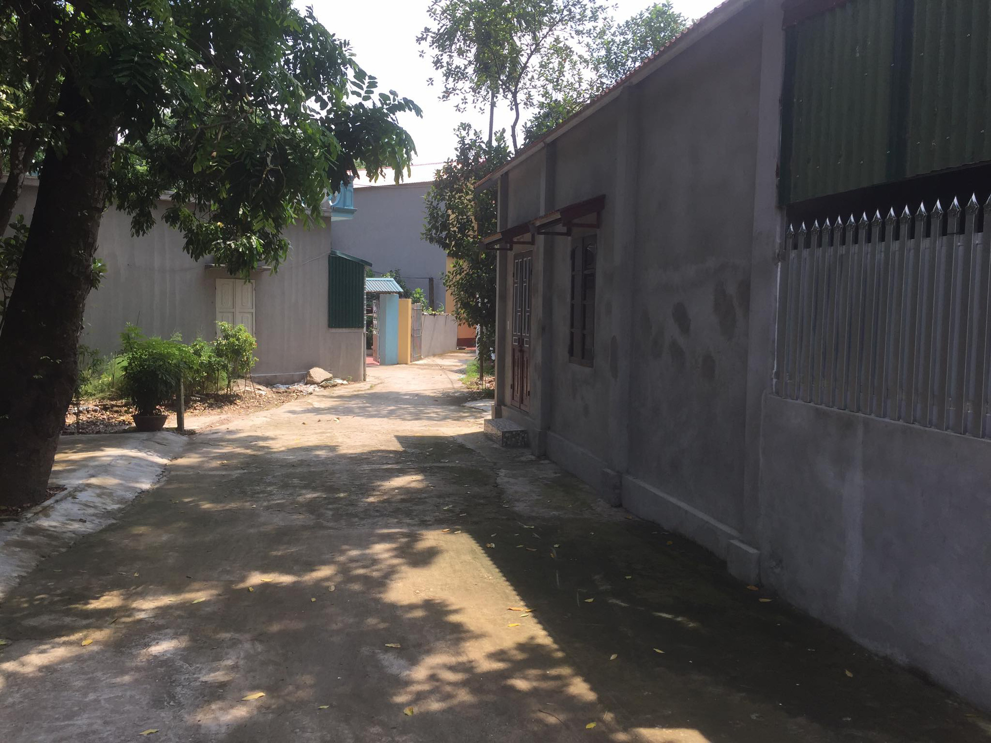 Hà Nội: Dân tự ý san lấp ruộng, xây nhà không phép trên đất công - Ảnh 2.