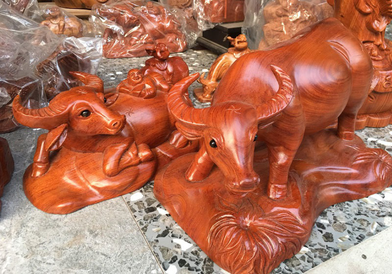 Bán đàn trâu 500 con, thu ngay 300 triệu đồng ăn Tết - Ảnh 1. Bán đàn trâu 500 con, thu ngay 300 triệu đồng ăn Tết - Ảnh 1.