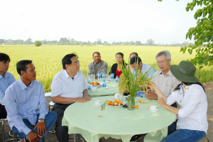 Hiệu quả mô hình trồng lúa bằng sữa tươi - Ảnh 1. Hiệu quả mô hình trồng lúa bằng sữa tươi - Ảnh 1.
