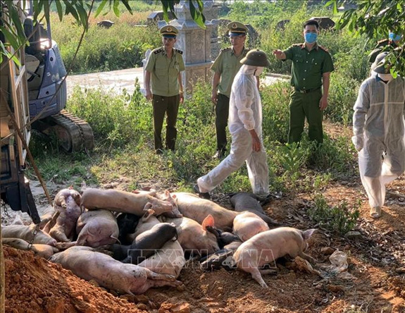 Bài 1: Nông dân “đánh cược” tài sản cho từng mùa vụ - Ảnh 4. Bài 1: Nông dân “đánh cược” tài sản cho từng mùa vụ - Ảnh 4.