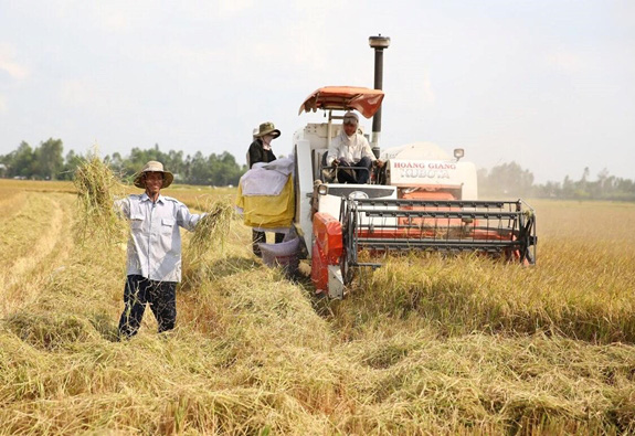 Bài 2: Bảo hiểm nông nghiệp vì sao chưa phát huy hiệu quả? - Ảnh 1. Bài 2: Bảo hiểm nông nghiệp vì sao chưa phát huy hiệu quả? - Ảnh 1.