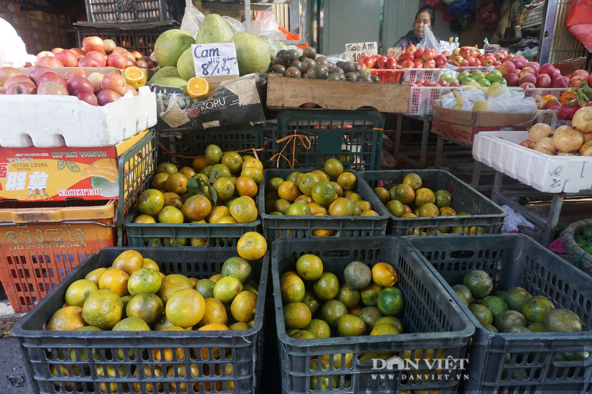 Hà Nội: Cam giá rẻ - Ảnh 4. Hà Nội: Cam giá rẻ - Ảnh 4.