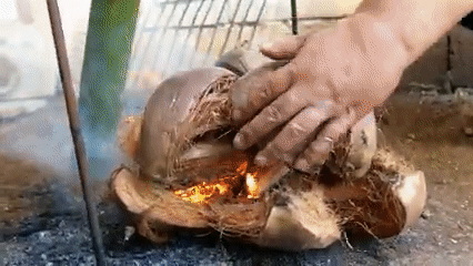 Đặc sản chuột đồng béo núc để nguyên con không bỏ đầu đuôi, nghe không dám ăn, thử thì thèm cả đời - Ảnh 5.