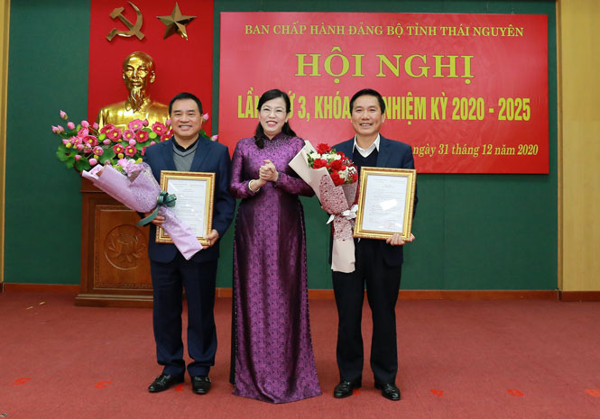 Thái Nguyên: Công bố các quyết định về công tác cán bộ - Ảnh 2.