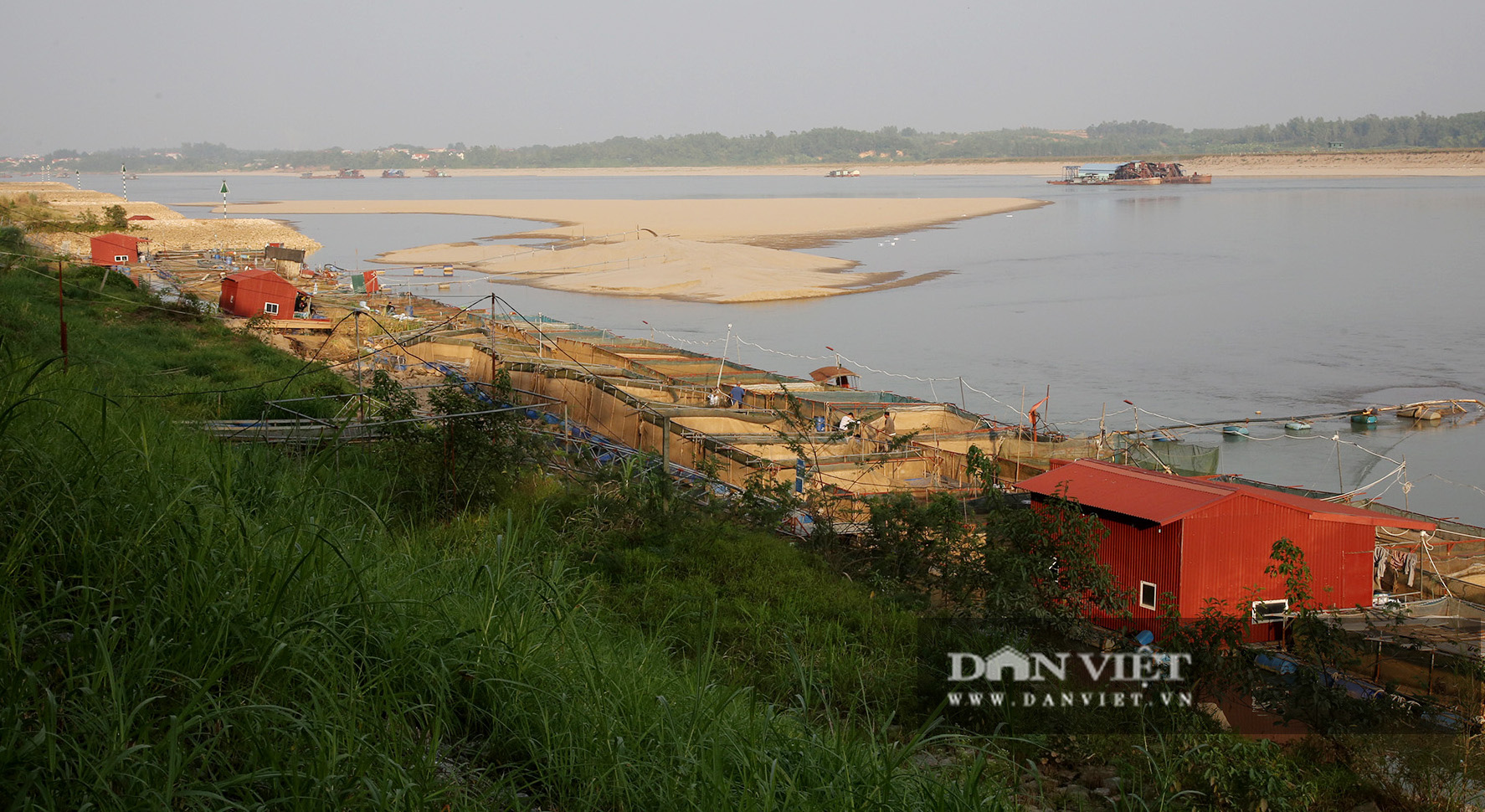 Dân nuôi cá trên sông Đà hút cát để cứu cá do nước sông cạn - Ảnh 1.