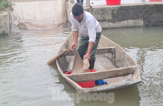 Nông dân Hải Phòng thấp thỏm lo rươi mất mùa - Ảnh 10. Nông dân Hải Phòng thấp thỏm lo rươi mất mùa - Ảnh 10.