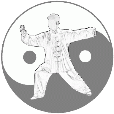 Âm Dương trong Võ cổ truyền - Ảnh 1.