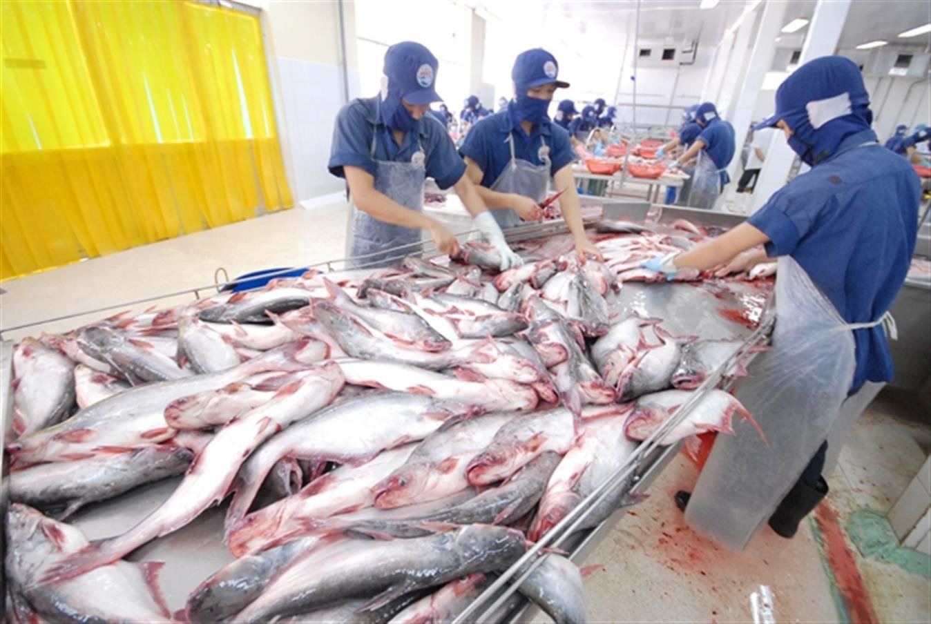 Bộ NNPTNT trình Thủ tướng giải pháp gì để đạt mục tiêu là 1 trong 10 nước chế biến nông sản hàng đầu?  - Ảnh 2.