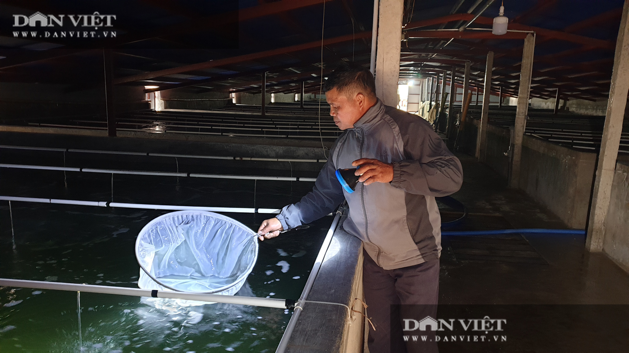 Ninh Bình: Nuôi loại ấu trùng trong làn nước xanh nè, lão nông thành tỷ phú trong vòng mấy tháng - Ảnh 2.
