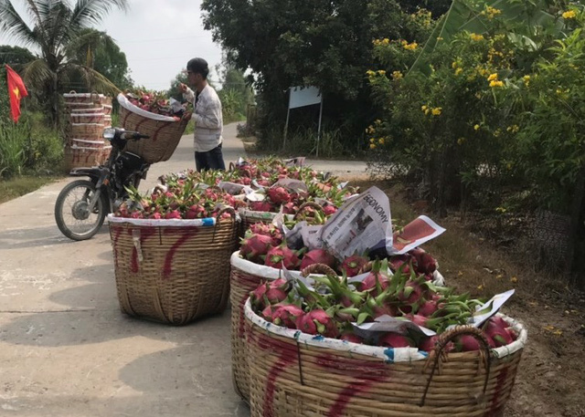 Giá hoa quả “rẻ như cho” trước đại dịch Corona - Ảnh 1. Giá hoa quả “rẻ như cho” trước đại dịch Corona - Ảnh 1.