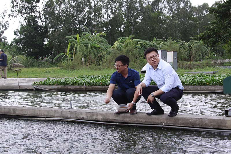 Anh em cùng đào con sông "chảy ra vàng", dựng cơ nghiệp 300 tỷ đồng - Ảnh 1. Anh em cùng đào con sông "chảy ra vàng", dựng cơ nghiệp 300 tỷ đồng - Ảnh 1.