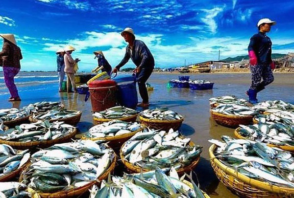 Nông nghiệp Việt Nam được lợi thế nào khi Hiệp định EVFTA có hiệu lực? - Ảnh 1. Nông nghiệp Việt Nam được lợi thế nào khi Hiệp định EVFTA có hiệu lực? - Ảnh 1.