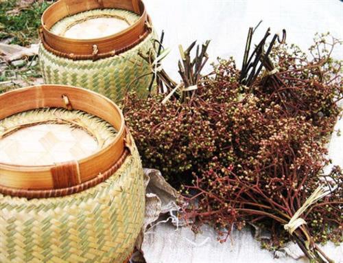Khám phá vua gia vị đất Tây Bắc - Ảnh 2. Khám phá vua gia vị đất Tây Bắc - Ảnh 2.