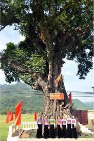"Cụ" thị được bà con người Thái gọi hồn - Ảnh 3. "Cụ" thị được bà con người Thái gọi hồn - Ảnh 3.