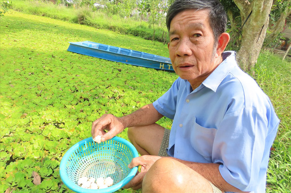 Nuôi loài ốc bươu đen, lão nông miền Tây đổi đời - Ảnh 27. Nuôi loài ốc bươu đen, lão nông miền Tây đổi đời - Ảnh 27.