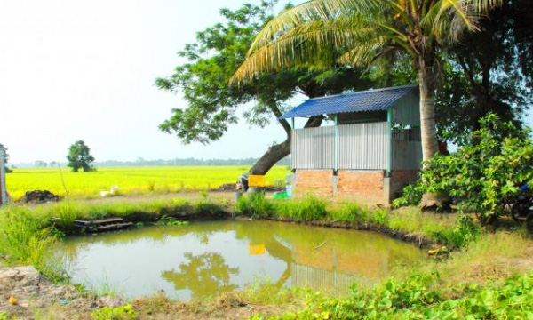 Trồng rau thủy canh thu hàng chục triệu đồng mỗi ngày - Ảnh 17. Trồng rau thủy canh thu hàng chục triệu đồng mỗi ngày - Ảnh 17.