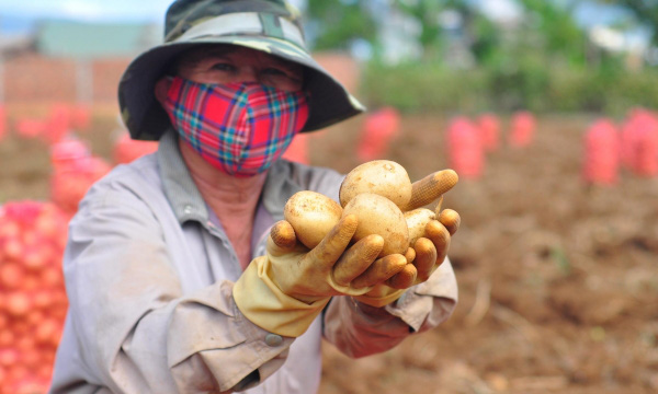 Trồng rau thủy canh thu hàng chục triệu đồng mỗi ngày - Ảnh 19. Trồng rau thủy canh thu hàng chục triệu đồng mỗi ngày - Ảnh 19.