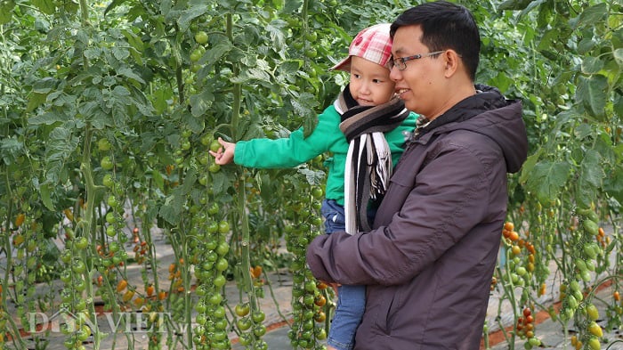 Lạc vào khu vườn diệu kỳ toàn bầu bí độc lạ của lão nông Đà Lạt - Ảnh 13. Lạc vào khu vườn diệu kỳ toàn bầu bí độc lạ của lão nông Đà Lạt - Ảnh 13.