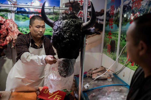 Trung Quốc tiếp tục ra lệnh cấm buôn bán động vật hoang dã - Ảnh 1. Trung Quốc tiếp tục ra lệnh cấm buôn bán động vật hoang dã - Ảnh 1.