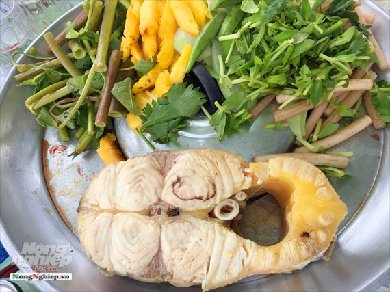 Tranh nhau mua cá bông lau giá nửa triệu đồng/kg - Ảnh 2. Tranh nhau mua cá bông lau giá nửa triệu đồng/kg - Ảnh 2.