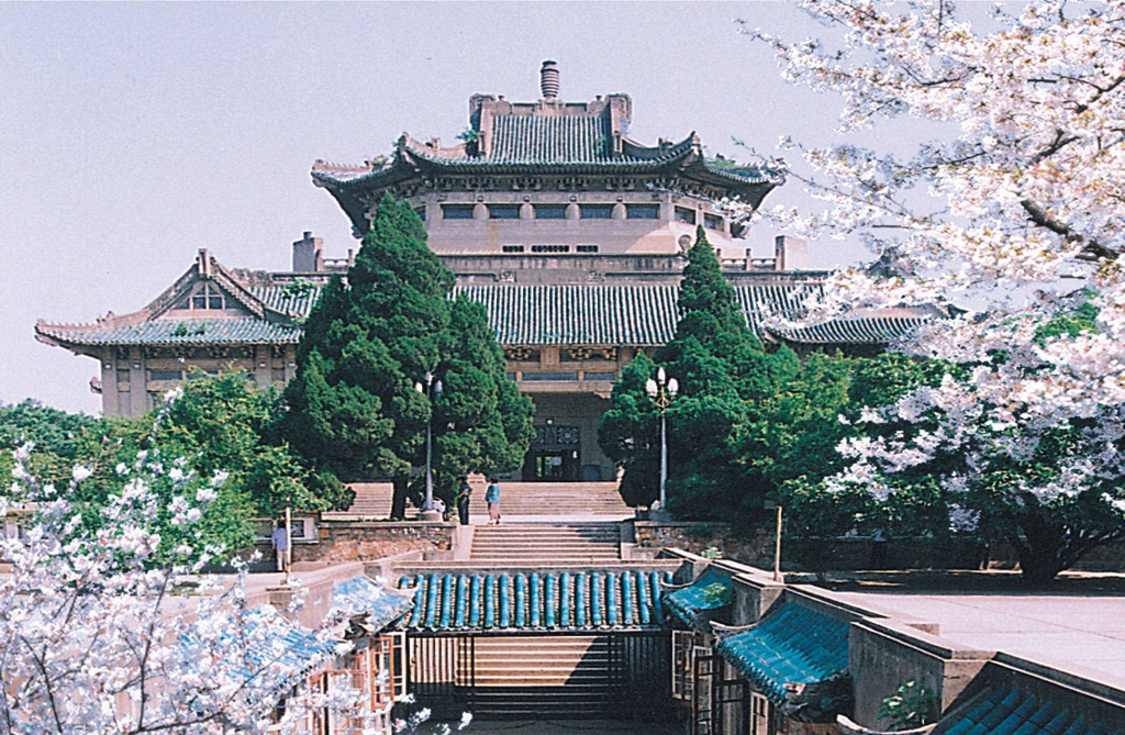  - Ảnh 9.
