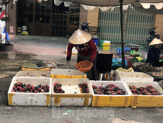 Trước "bão" corona, cá lóc nướng vẫn đắt hàng ngày Thần Tài - Ảnh 14. Trước "bão" corona, cá lóc nướng vẫn đắt hàng ngày Thần Tài - Ảnh 14.