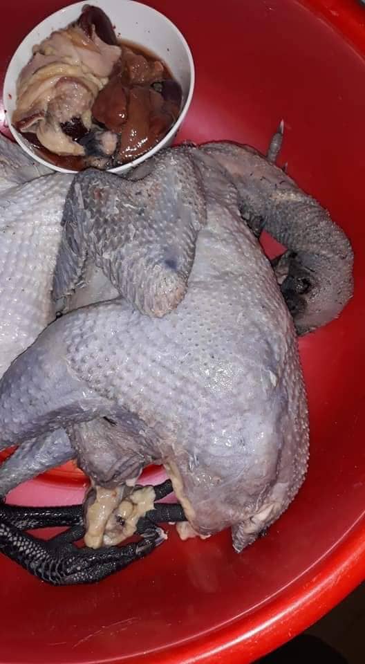 Đệ nhất gà xương đen đất Tây Bắc - Ảnh 3. Đệ nhất gà xương đen đất Tây Bắc - Ảnh 3.