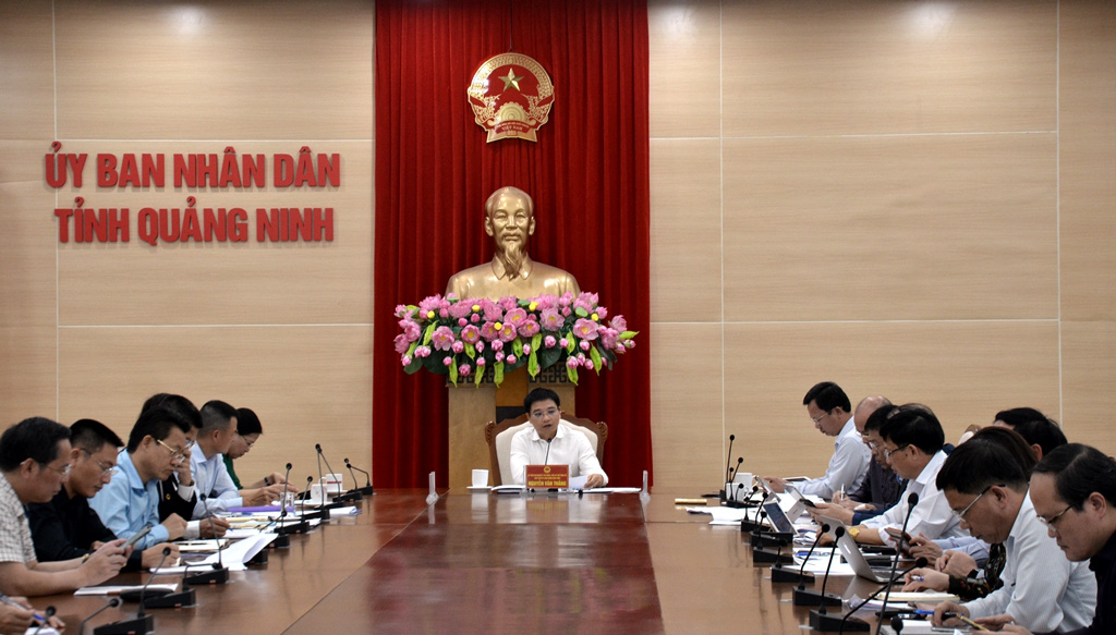 Điều chỉnh tốc độ, phương án tài chính cao tốc Vân Đồn –Móng Cái - Ảnh 2. Điều chỉnh tốc độ, phương án tài chính cao tốc Vân Đồn –Móng Cái - Ảnh 2.