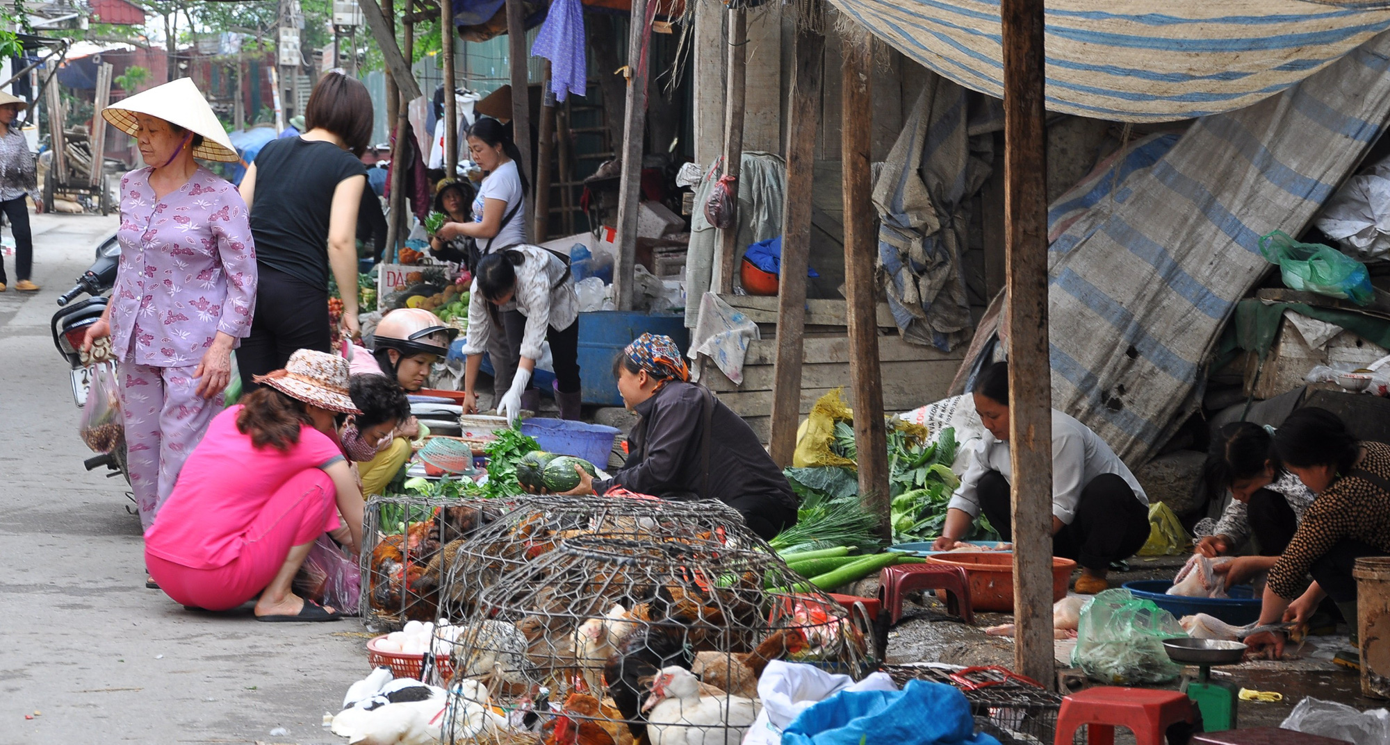 &quot;Gà, vịt vừa rẻ, vừa ngon, chúng tôi ăn thoải mái hàng ngày&quot; - Ảnh 1.