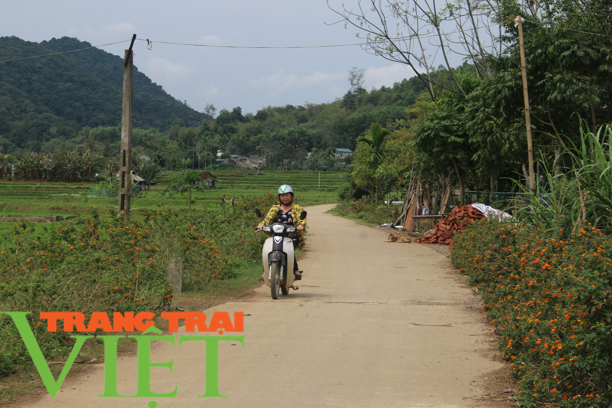 Hội Nông dân Tân Lạc hiến đất, góp công xây dựng nông thôn mới  - Ảnh 3.