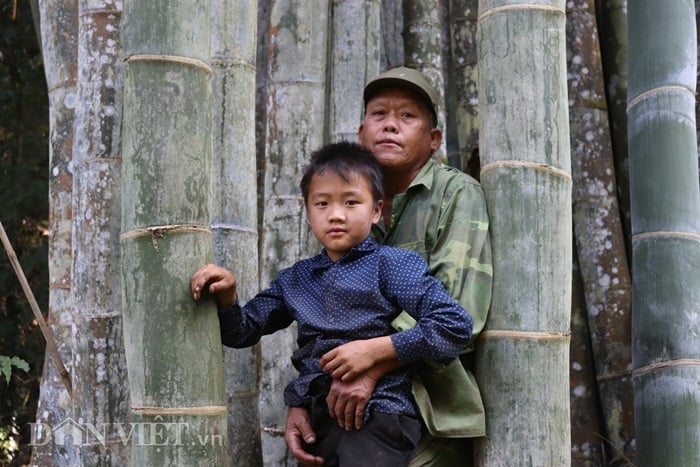 Đi tìm loài tre khổng lồ ví như "báu vật" trên đỉnh núi thiêng Sơn La - Ảnh 2. Đi tìm loài tre khổng lồ ví như "báu vật" trên đỉnh núi thiêng Sơn La - Ảnh 2.