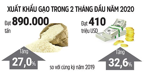 Giá lúa "lập đỉnh" dù bị hạn mặn xâm lấn - Ảnh 2. Giá lúa "lập đỉnh" dù bị hạn mặn xâm lấn - Ảnh 2.