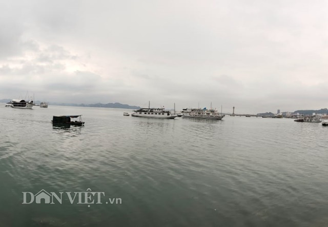 Dịch Covid-19: Quảng Ninh tìm giải pháp gỡ khó cho doanh nghiêp - Ảnh 2. Dịch Covid-19: Quảng Ninh tìm giải pháp gỡ khó cho doanh nghiêp - Ảnh 2.